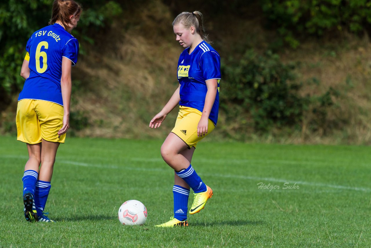 Bild 373 - Frauen TSV Gnutz - SG Slfeld/Oe/Se/Stu : Ergebnis: 2:3